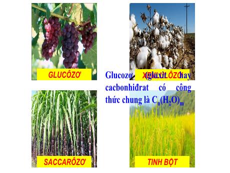 Bài giảng Hóa học 9 - Bài 50: Glucozơ