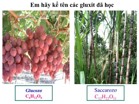 Bài giảng Hóa học 9 - Bài 52: Tinh bột và xenlulozo