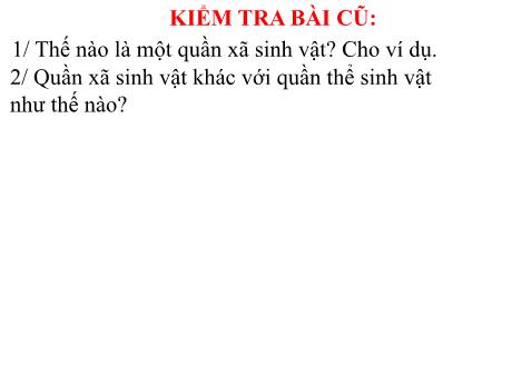 Bài giảng Sinh học 9 - Bài 50: Hệ sinh thái