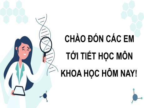 Bài giảng Khoa học tự nhiên 9 (Cánh diều) - Bài 41: Đột biến Gen - Trường THCS Tràng Cát