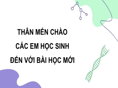 Bài giảng Khoa học tự nhiên 9 (Cánh diều) - Chương 12 - Bài 42: Nhiễm sắc thể và bộ nhiễm sắc thể - Trường THCS Tràng Cát