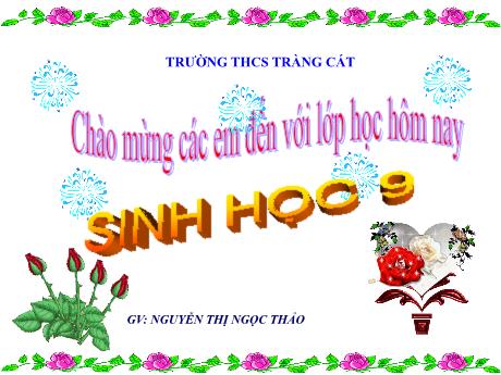 Bài giảng Khoa học tự nhiên Lớp 9 - Chương 2 - Bài 8: Nhiễm sắc thể - Nguyễn Thị Ngọc Thảo