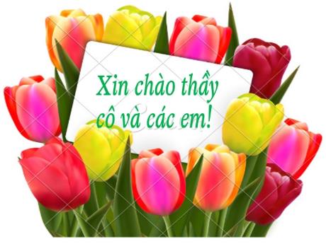 Bài giảng Ngữ văn 9 (Kết nối tri thức) - Bài: Thực hành Tiếng Việt. Đảo ngữ, câu hỏi tu từ. Từ tượng hình, từ tượng thanh - Trường THCS Đằng Lâm
