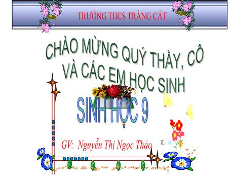 Bài giảng Sinh học 9 - Tiết 20 - Bài 17: Mối quan hệ giữa gan và ARN - Trường THCS Tràng Cát