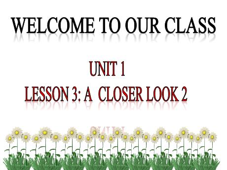 Bài giảng Tiếng Anh 9 (Global Success) - Unit 1: Local enviroment - Lesson 3 - Trường THCS Nguyễn Chuyên Mỹ